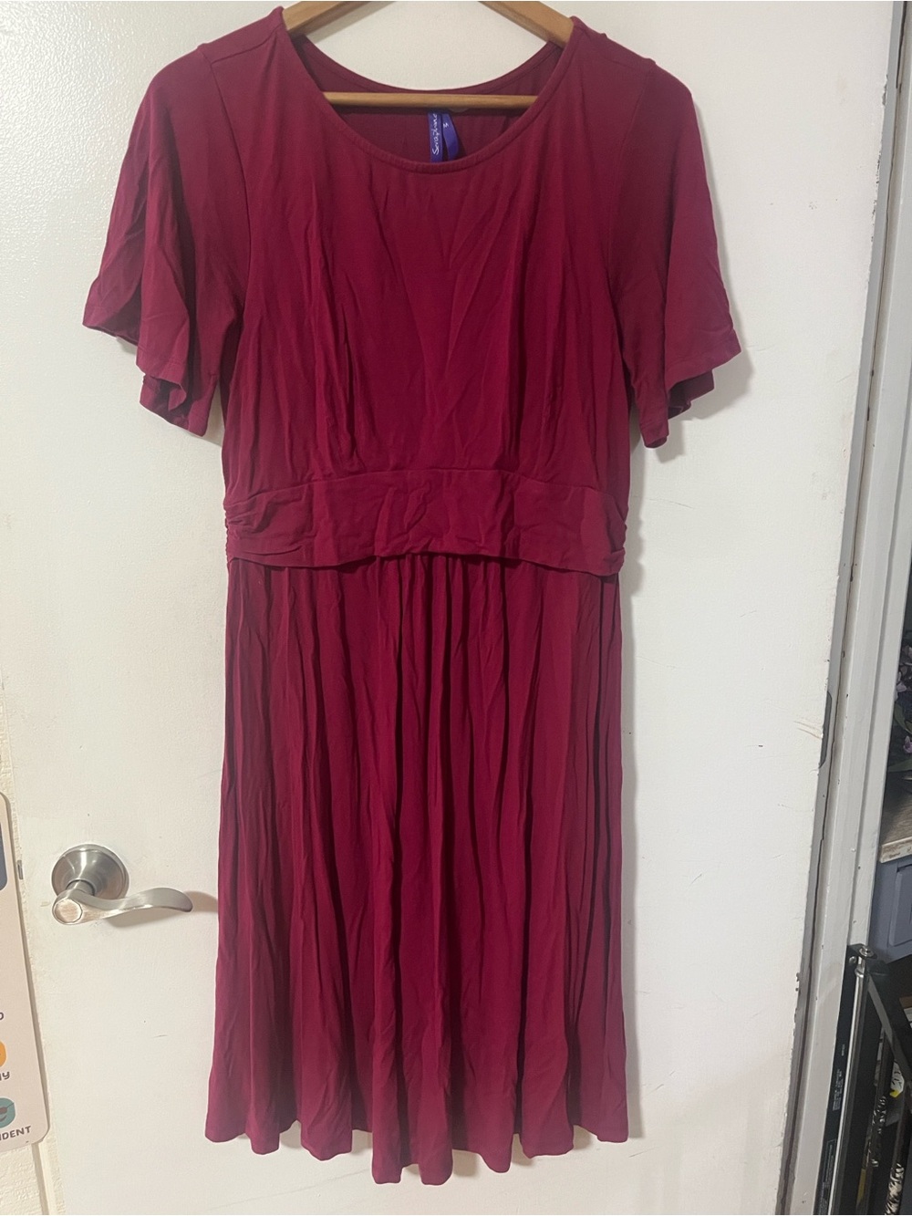 Raspberry Pink Fit & Flare Maternity to Nursing Dress